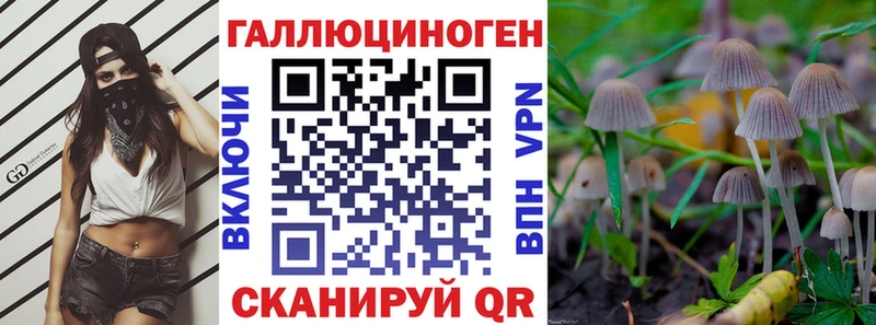 Галлюциногенные грибы мицелий  hydra   Фролово 